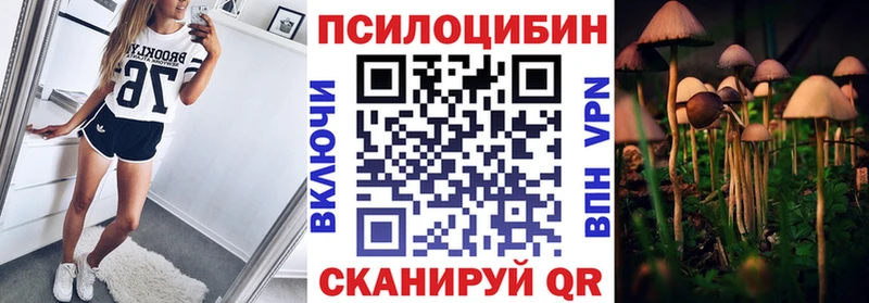 mega онион  Гусь-Хрустальный  Псилоцибиновые грибы мицелий  хочу  