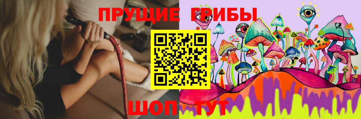 Псилоцибиновые грибы мицелий  Вход с VPN  Гусь-Хрустальный 